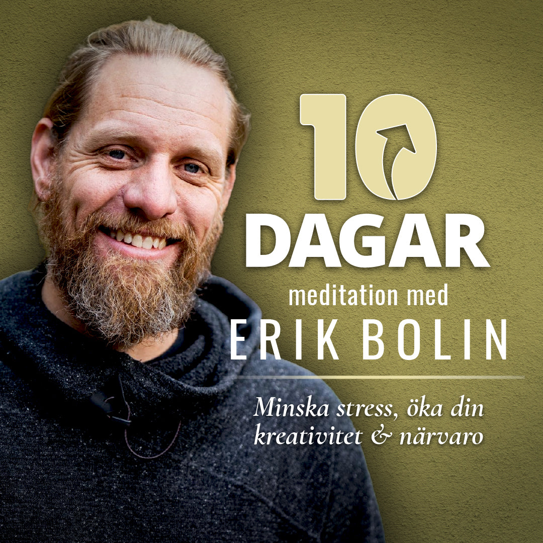 10 Dagar meditation med Erik Bolin